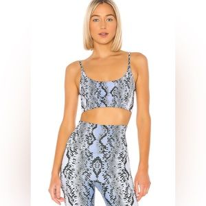 Beach Riot Blue Snake Leggings & Sports Bra Set